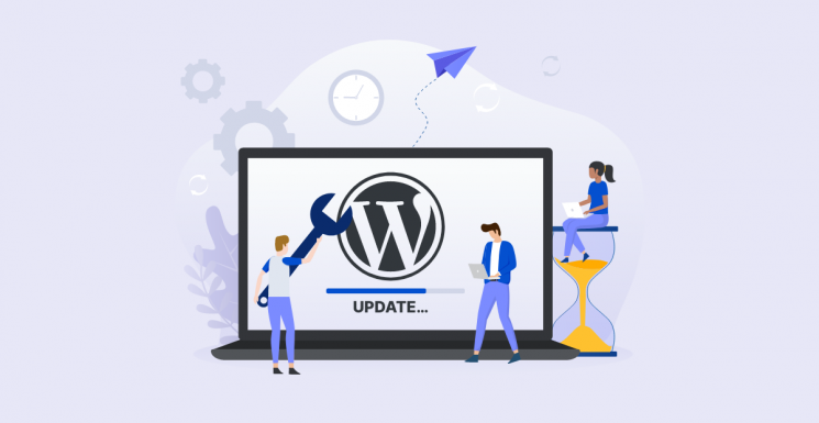 WordPress & Plugin Updates